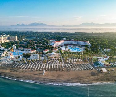 SELECTUM NOA BELEK